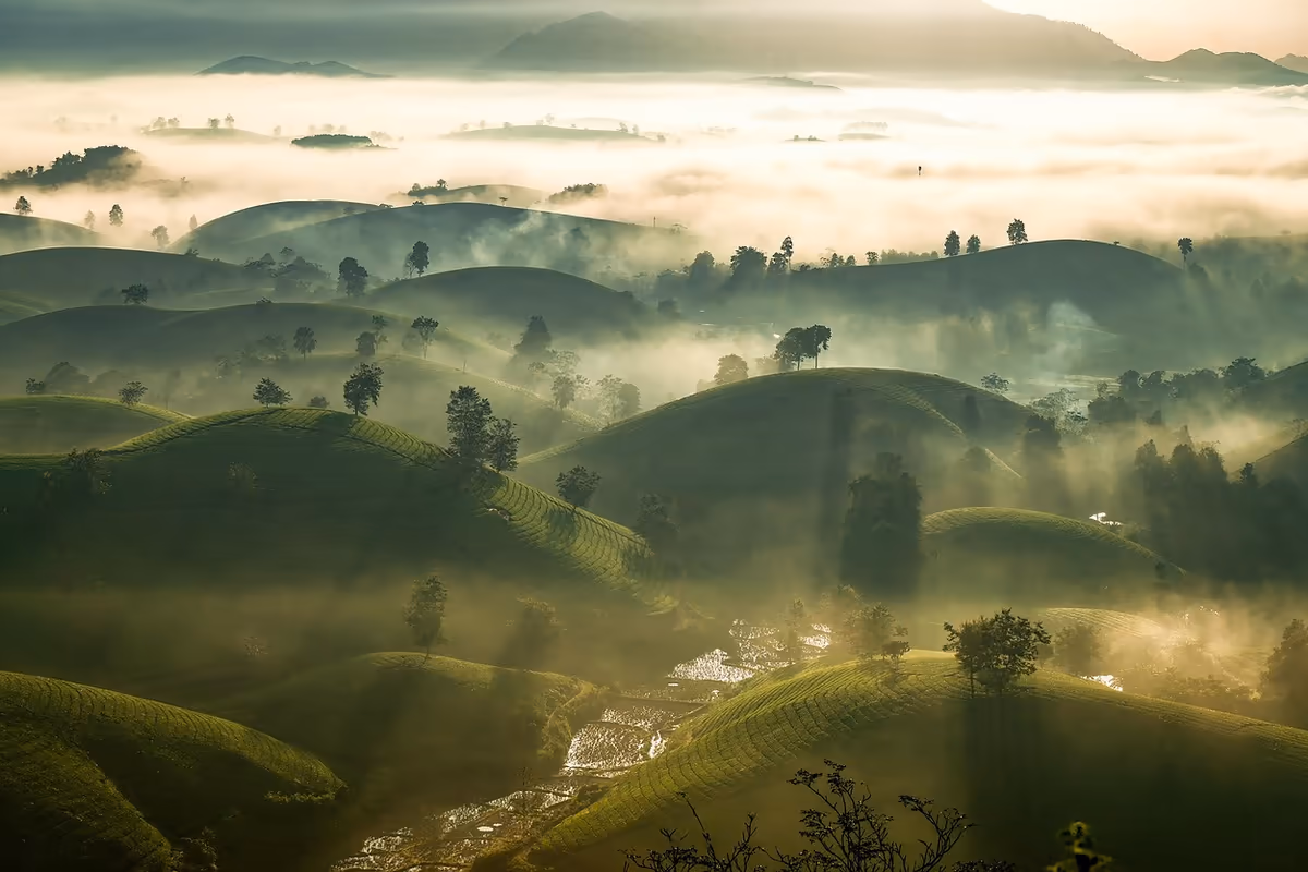 A brevidade da vida e a eternidade de Deus