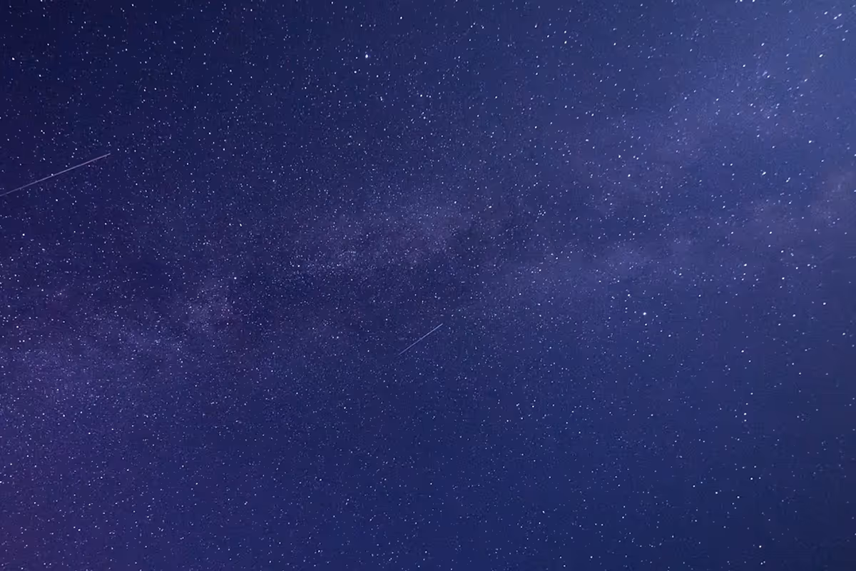 Sonhar com cobra: significado à luz da fé